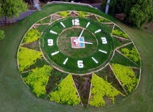 Flower-clock-sayajibaug