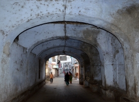 Shree Sayaji High School